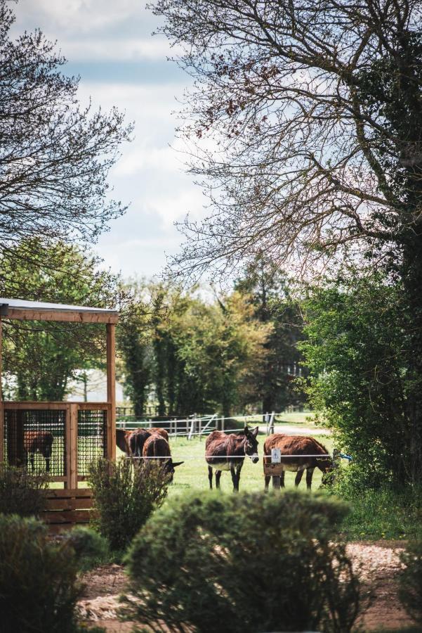 Le Village De Cottages - Le Pole Du Cheval Et De L'Ane Lignieres  Экстерьер фото